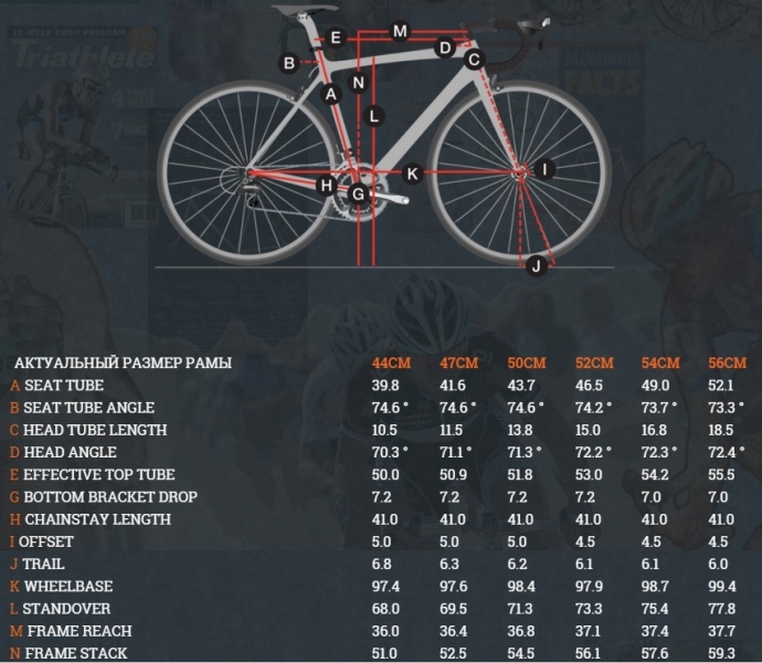    Trek Lexa S Compact  2016