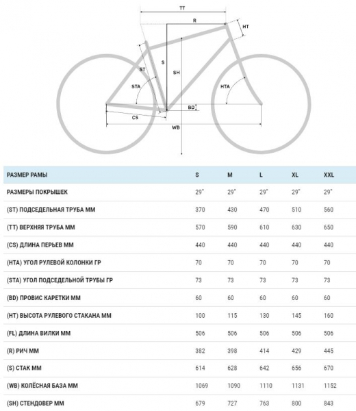    ATOM Bion Nine 700  2025