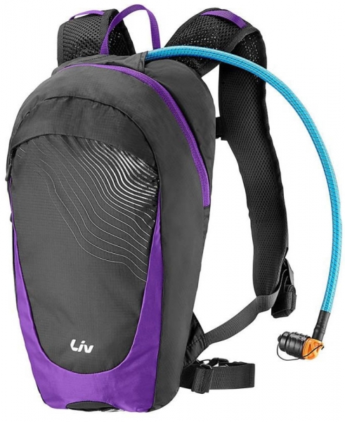 Рюкзаки и сумки Giant Fresca black/purple - купить в Москве