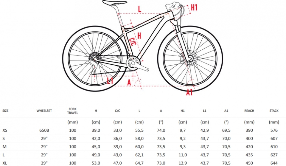    Wilier 101X XT 2X11 Fox 32 RM CrossMax Elite  2018