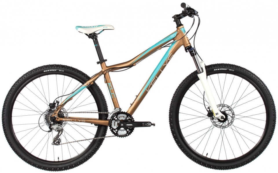

Kelly's Vanity 50 29 (2017)