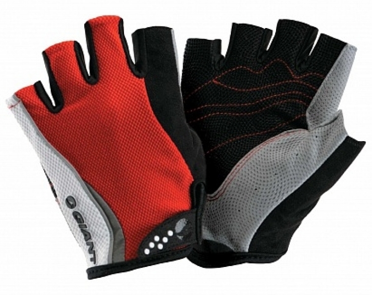 

Giant Road Pro red (0)