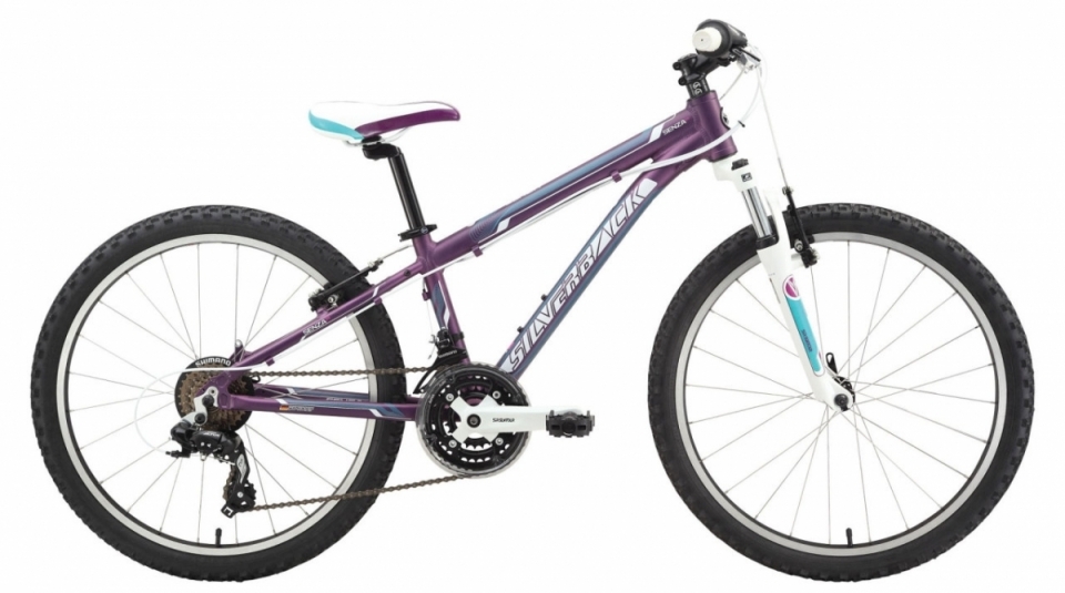 

Silverback Senza 24 (2015)