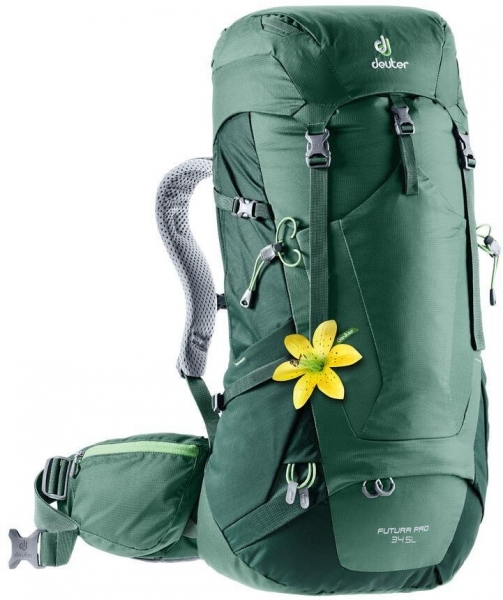 Deuter futura pro 34 hotsell