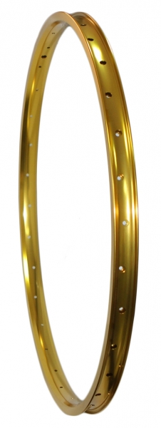 

TBS DP24 (0), Gold