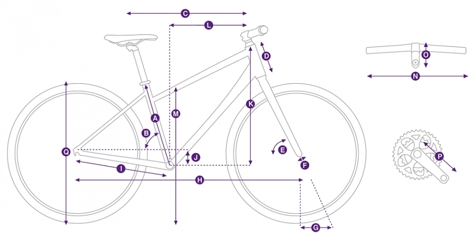    Giant Contend 1  2019