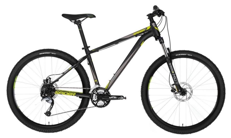 

Kelly's Spider 30 (2018)