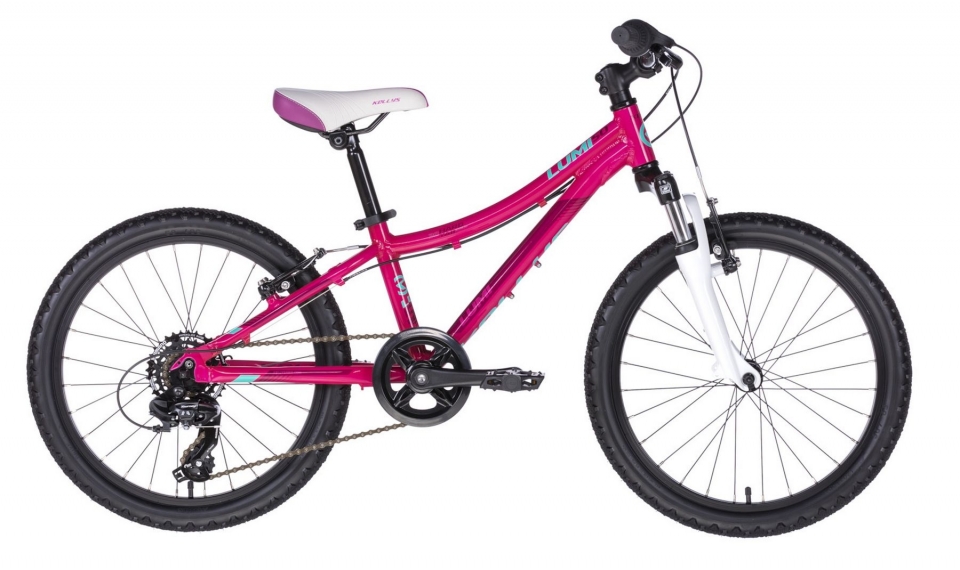 

Kelly's Lumi 50 (2018)