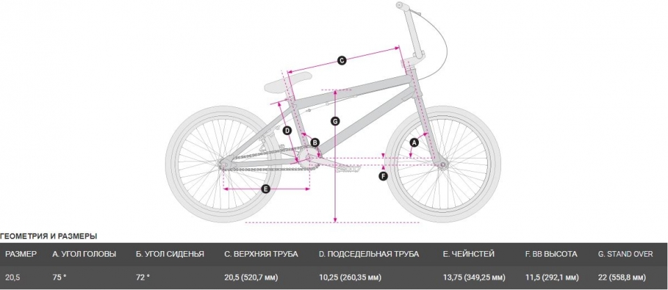    HARO Premium Stray 20  2021