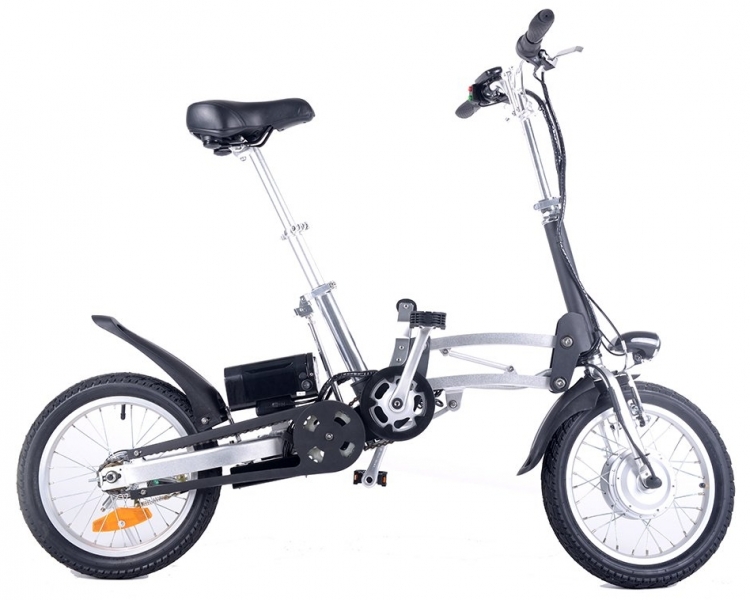 

Eccoffect Cameo shrinker (2018)
