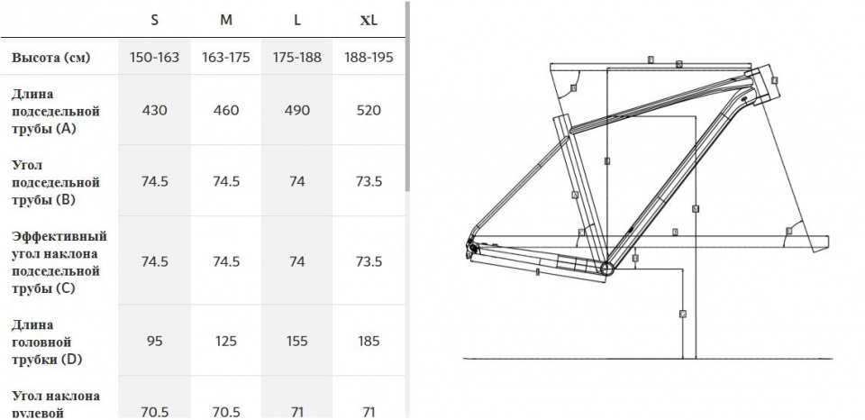 ��������� ���������� ��������� Polygon Path 2  2026
