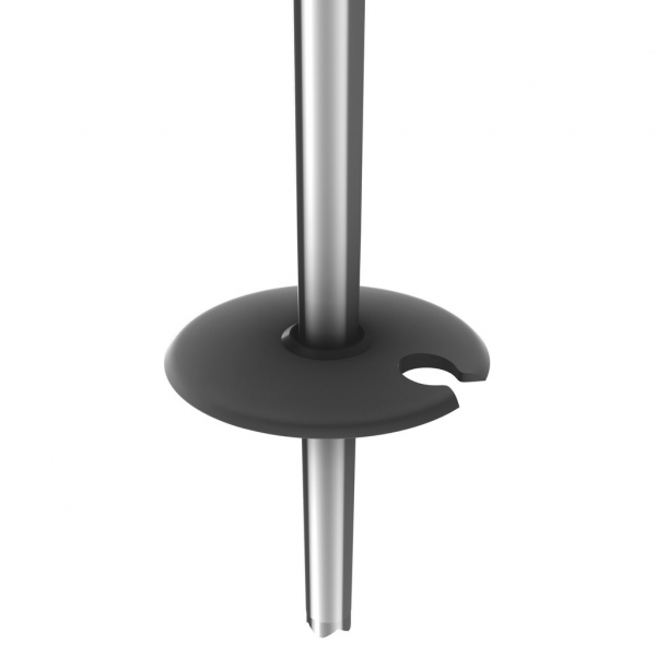 Горнолыжные палки Scott Rental Jr Exclusive EU Grey - купить в Москве