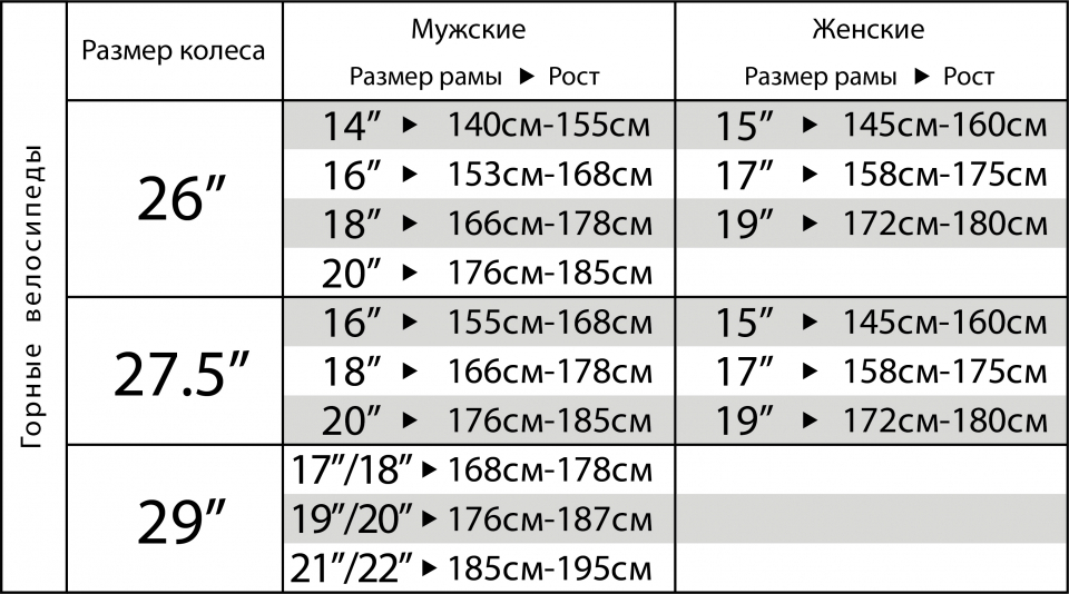    Stinger Element STD 27.5  2021