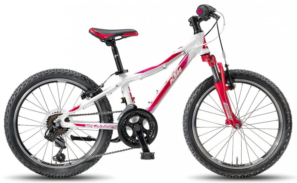 

KTM Wild Bee 20.12 MTB (2018)
