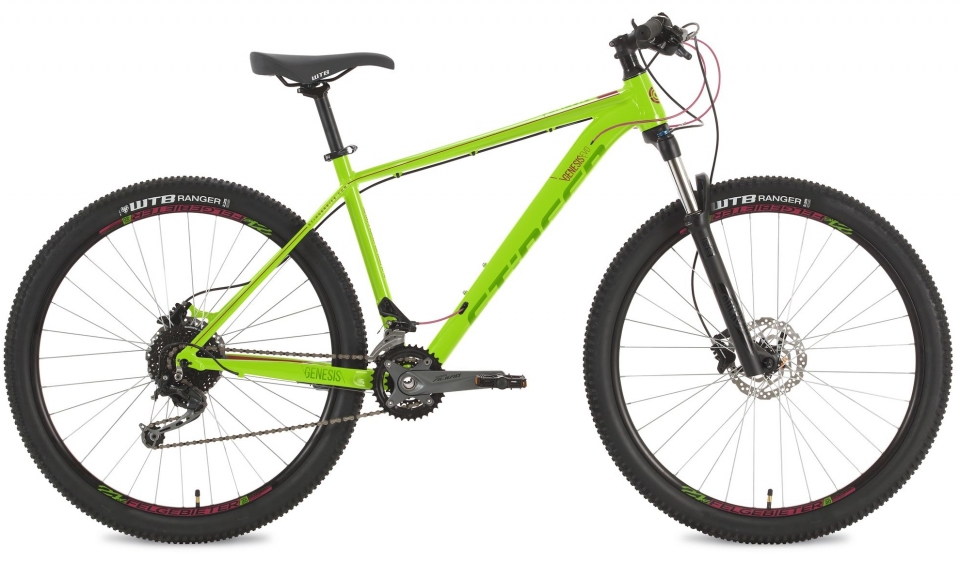 

Stinger Genesis Evo 29 (2018)