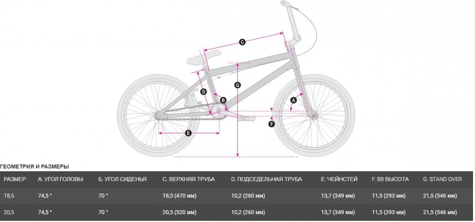    HARO Leucadia DLX 20  2021