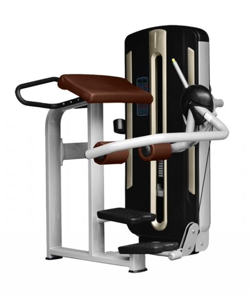 

Bronze Gym MNM-016A Ягодичные мышцы (0)