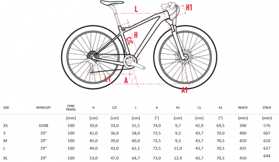    Wilier 501X XT Mix 1x12 MARZOCCHI Z2 CrossMax  2019