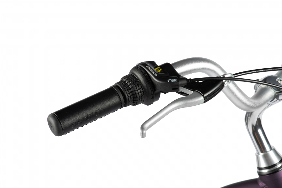 Велосипед Electra Townie 7D EQ Step Thru 2024 - купить в Москве