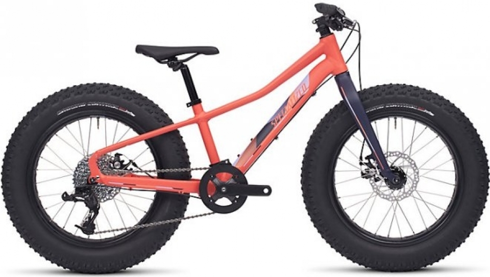 Fatboy specialized hot sale bike