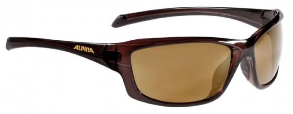 

Alpina Dyfer (2018), Brown