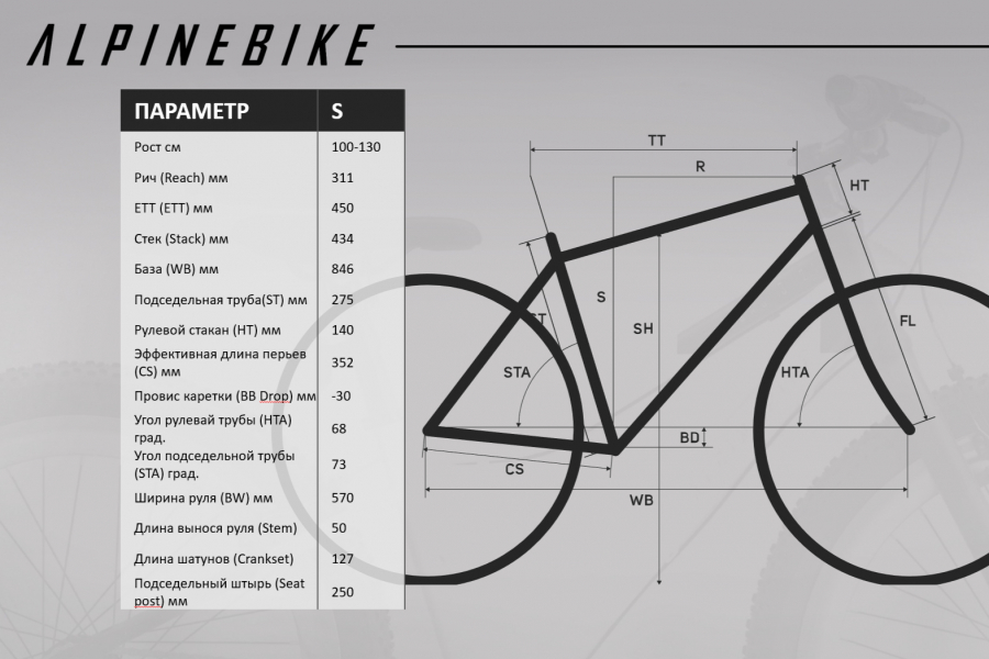    Alpine Bike Pegas 3-20  2024