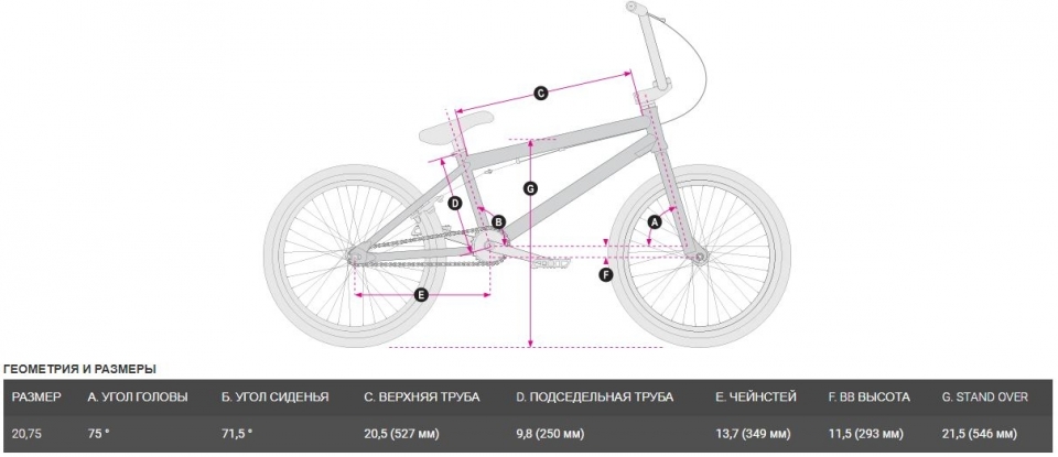    HARO Midway Cassette 20  2021