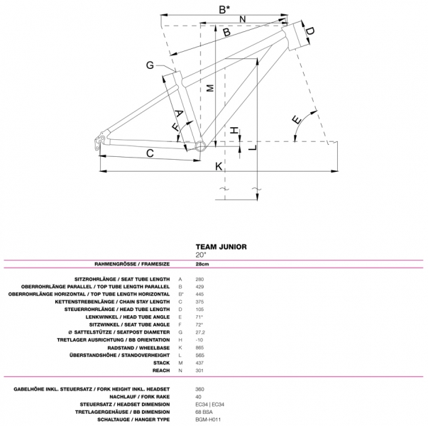 ��������� ���������� ��������� Bergamont Team Junior 20  2015