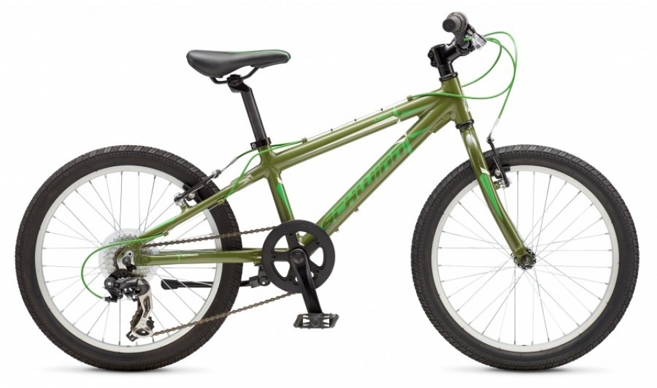 

SCHWINN Mesa Boy 20 (2018)