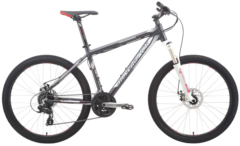 

Silverback Stride 20 (2015)