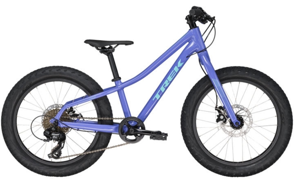 

Trek Roscoe 20 (2019)